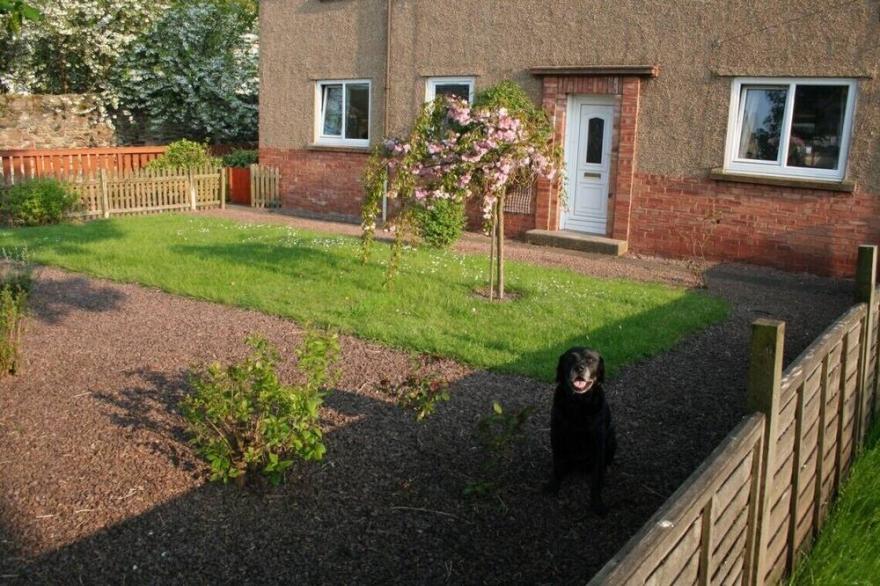 Central, Spacious with Gardens, Parking & 2 mins to Beaches
