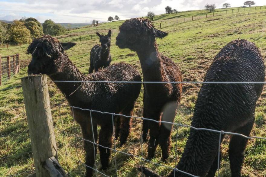 BECKSIDE COTTAGE, romantic, with hot tub in Cowling