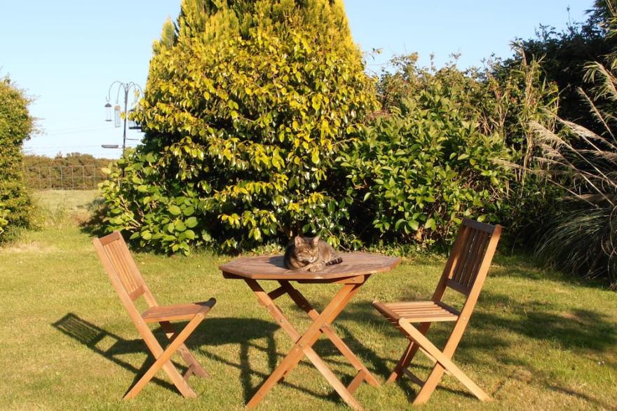 Holiday Cottage, in the depths of the Cornish Countryside