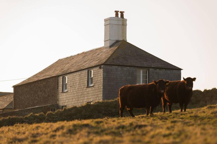 Isolated cottage on the cliffs near Crackington Haven