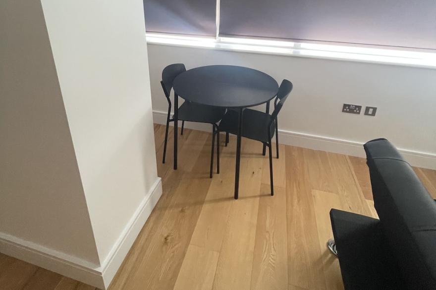 Plush apartment in slough