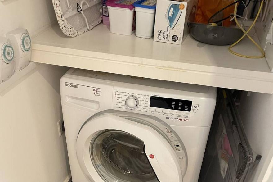 Plush apartment in slough