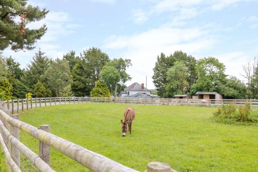 SHANNON, pet friendly, country holiday cottage in Halwill Junction