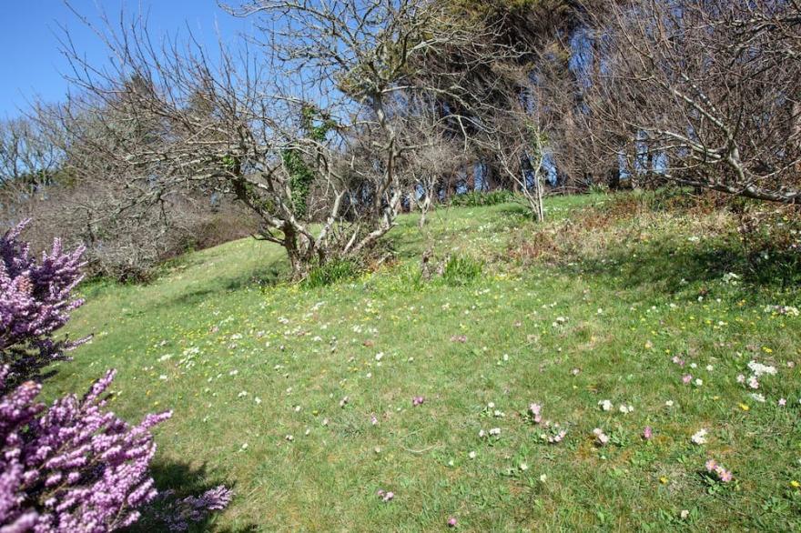 1 bedroom accommodation in Perranporth