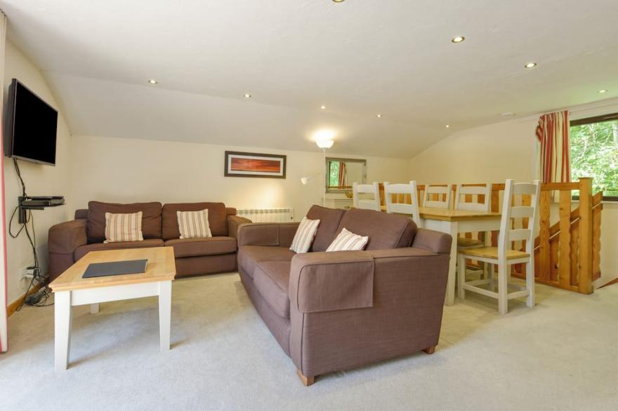 BIRCH TREE, family friendly in Halwill Junction