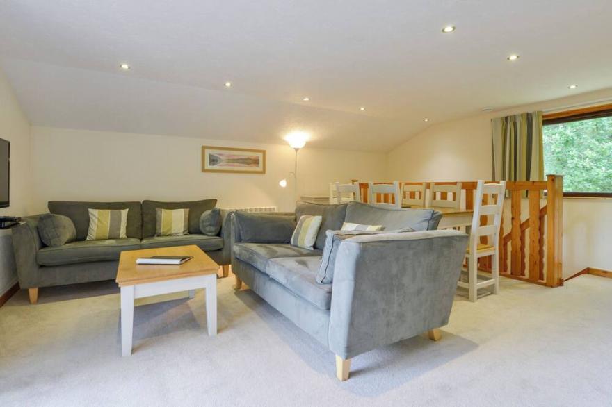 BEECH TREE, family friendly in Halwill Junction