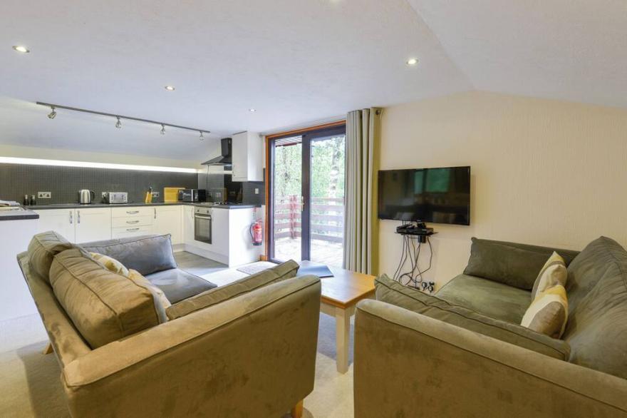 BEECH TREE, family friendly in Halwill Junction