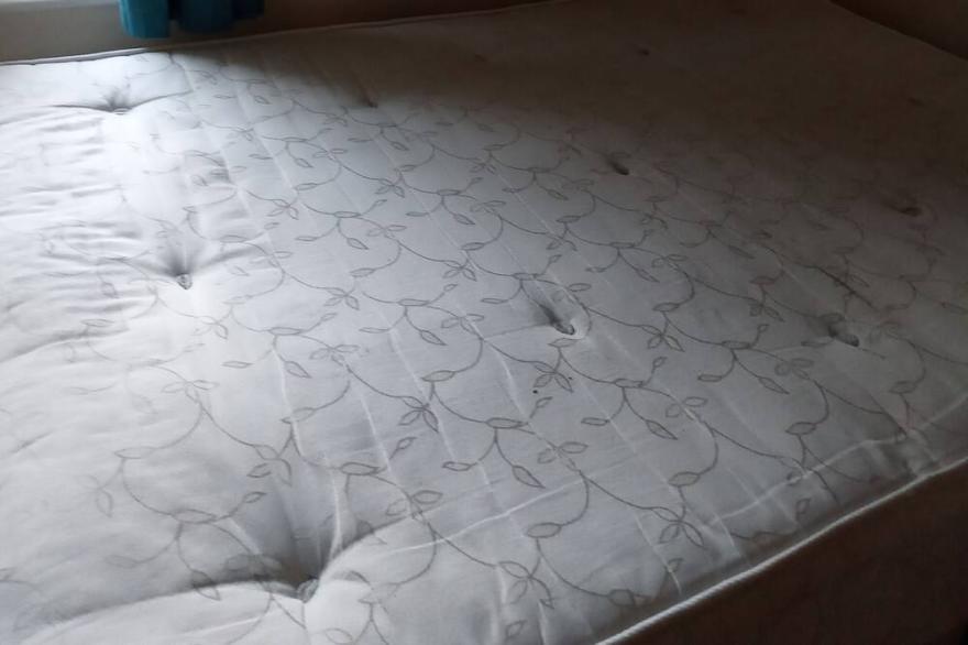 delightful room in a 4 bedroom, 2 bathroom shared house
