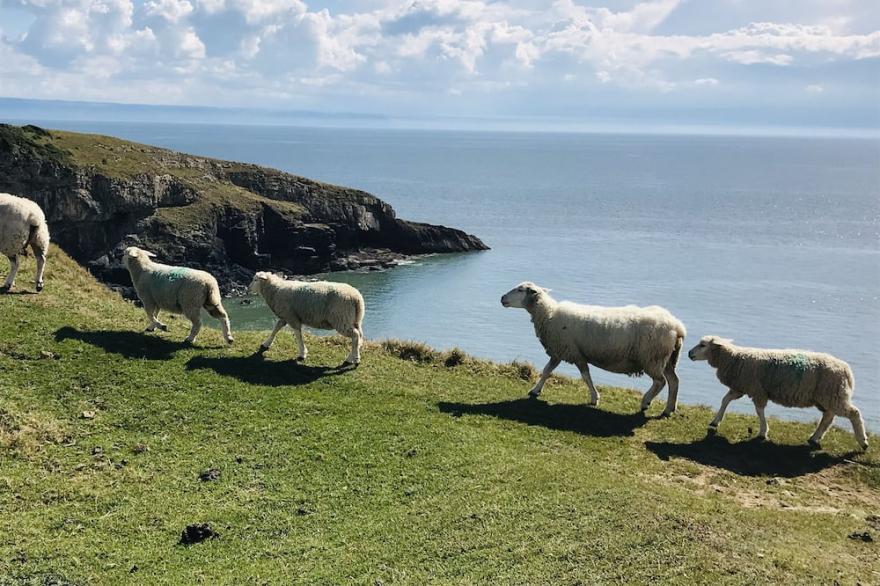 Coach House Sleeps 12 People Close To Beach Wales