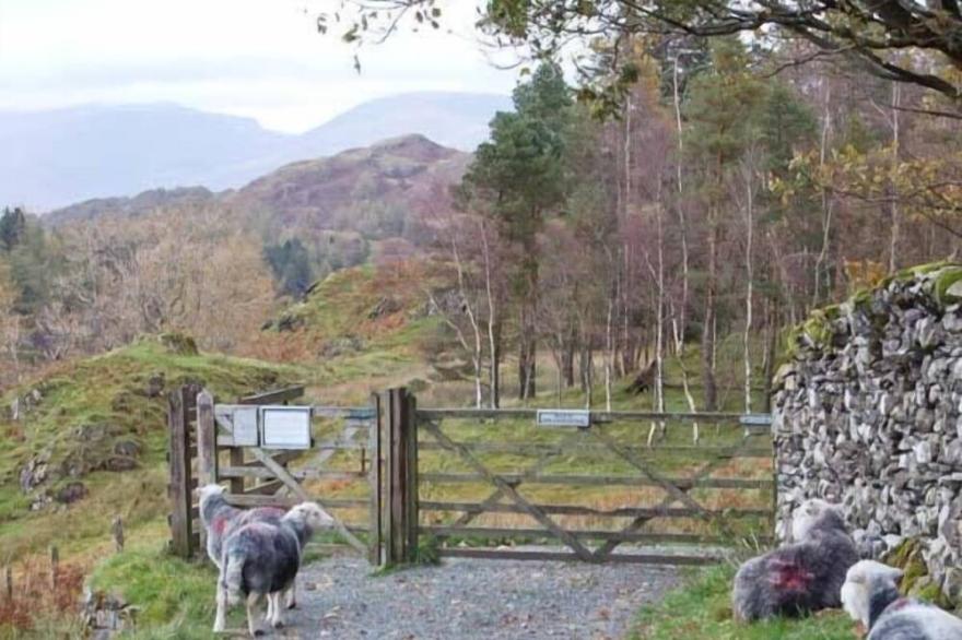 YEW TREE COTTAGE, pet friendly, luxury holiday cottage in Torver