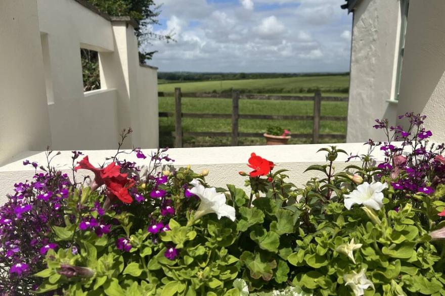 PALMERS LODGE, with a garden in Egloskerry