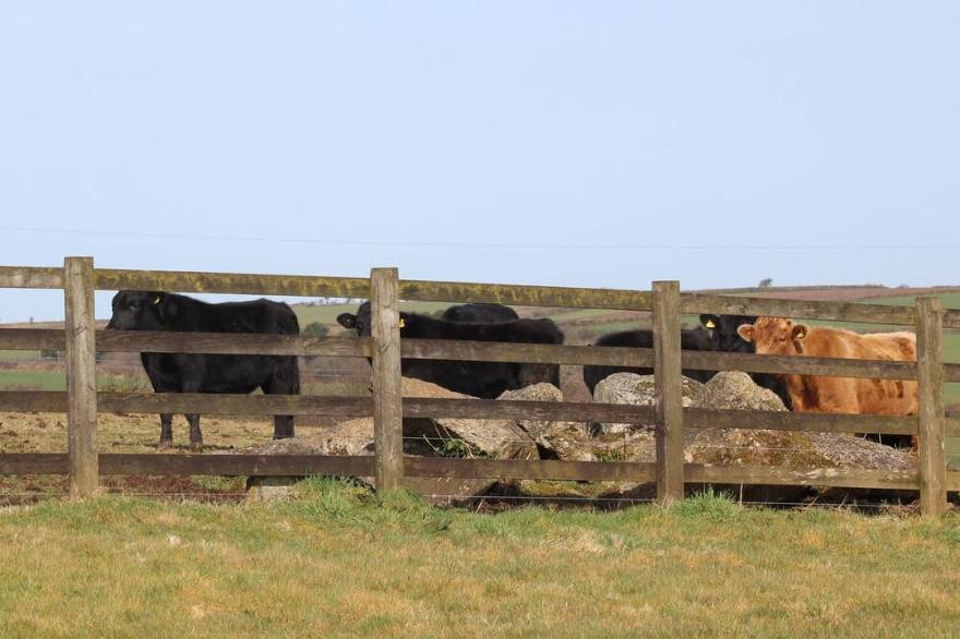 FOXES, family friendly, character holiday cottage in Lanivet