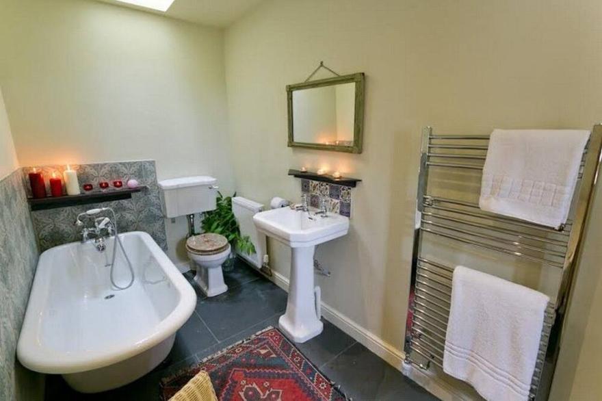 Duck House -  a dog that sleeps 2 guests  in 1 bedroom