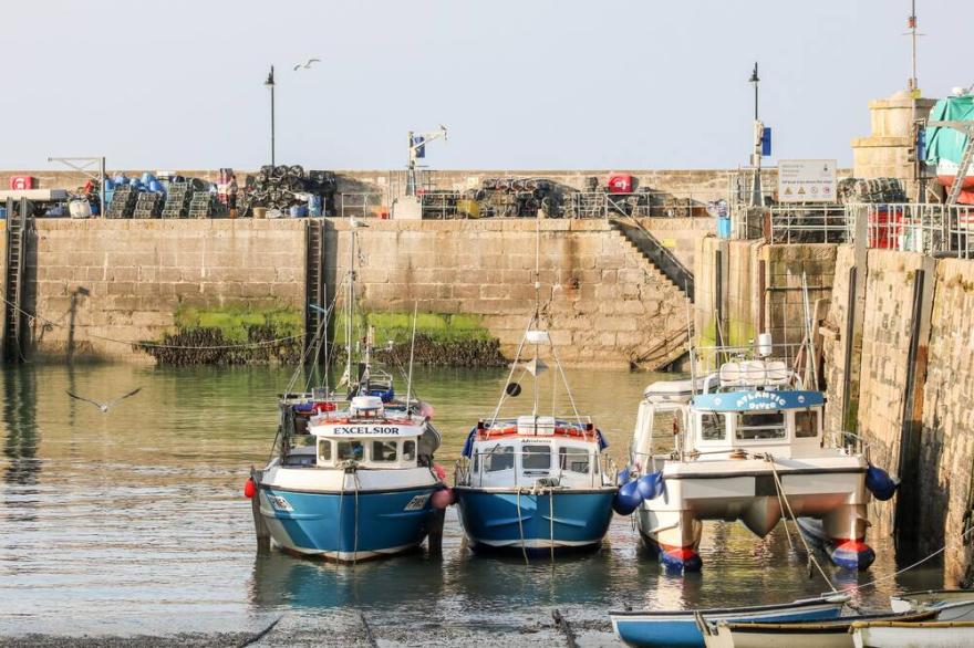 BY THE SEA, pet friendly, country holiday cottage in Newquay