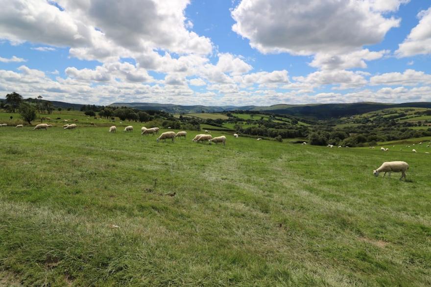 SHEPHERD'S VIEW, pet friendly, with hot tub in Rhayader