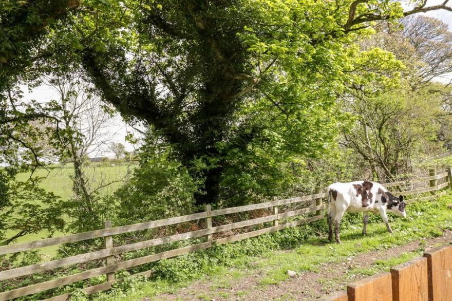 THE OLD GRAINSTORE, family friendly in Bolton Low Houses