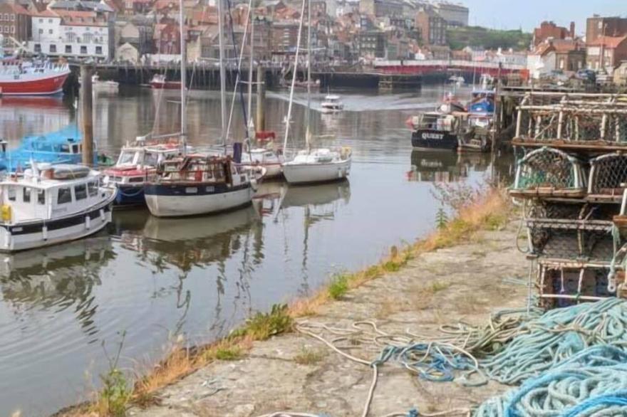 OYSTERCATCHER COTTAGE, pet friendly, with a garden in Whitby