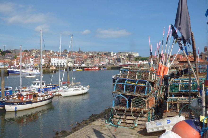 RAW PASTURES, family friendly, with a garden in Whitby