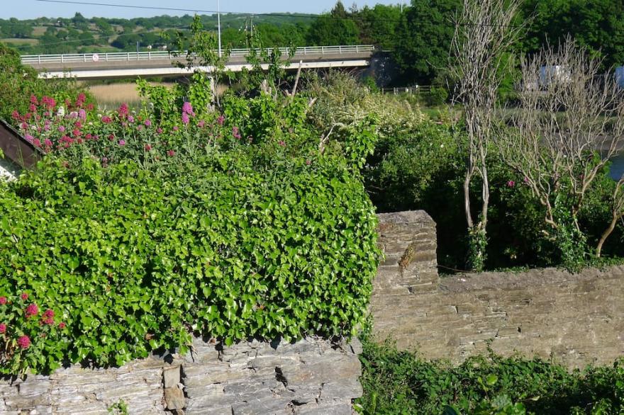 DELIGHTFUL FAMILY COTTAGE IN HISTORIC CARDIGAN with NEW SHOWER ROOM JAN 23!