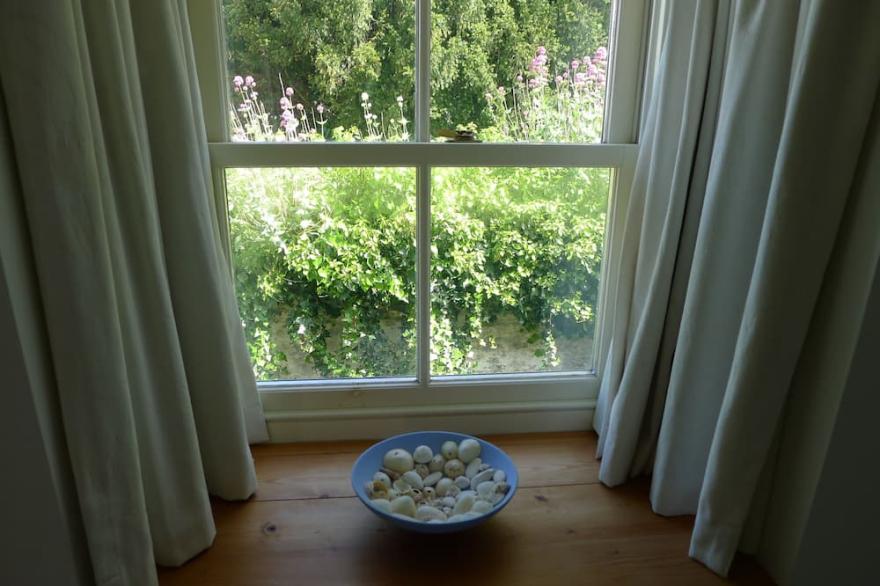 DELIGHTFUL FAMILY COTTAGE IN HISTORIC CARDIGAN with NEW SHOWER ROOM JAN 23!