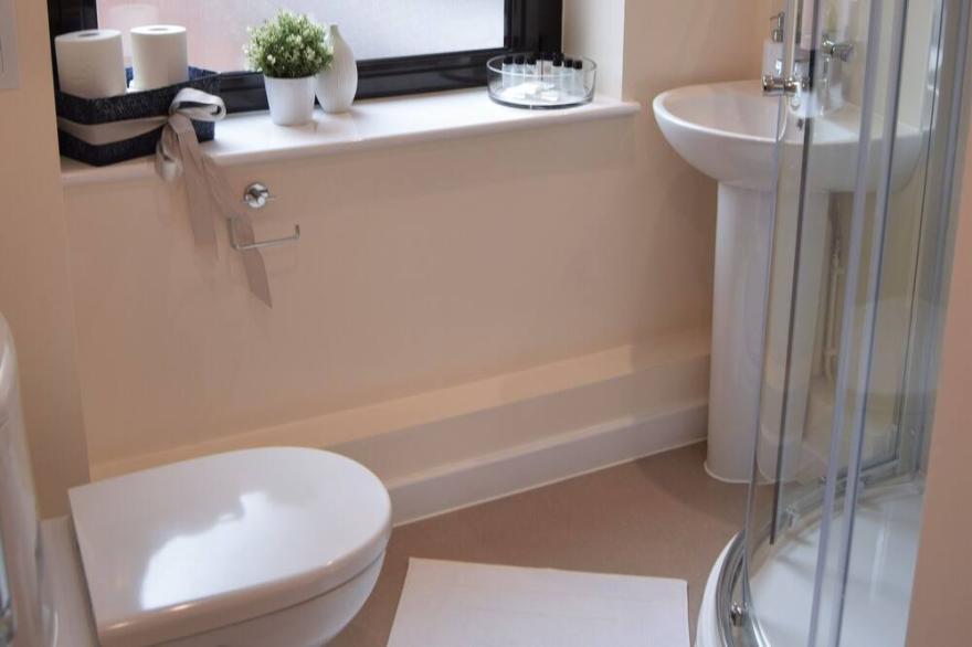 Newly refurbished, Greater London. Apartment 12