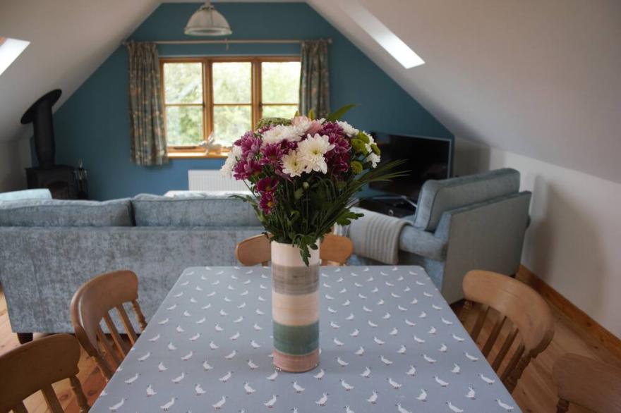 Luxury barn conversion in the heart of North Devon in an 11 acre smallholding