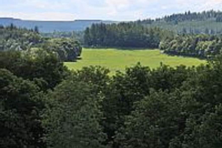 Wonderful Views and Privacy at the top of the house