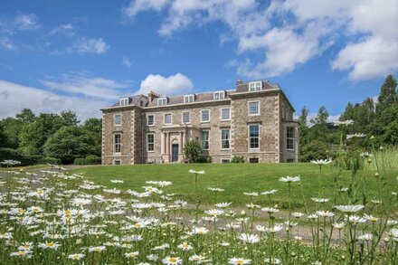 Wonderful Views and Privacy at the top of the house