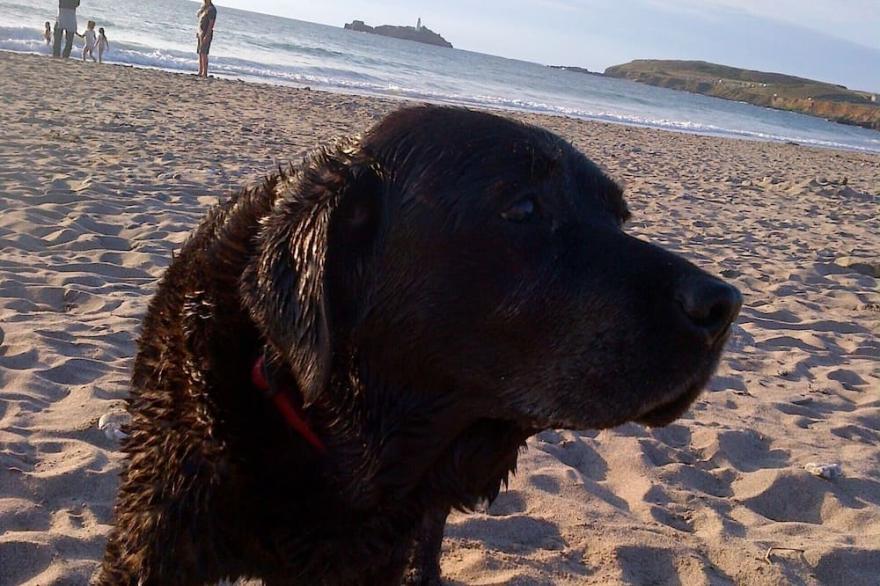 Stunning beach-side chalet with a lighthouse view - Gwithian Towans, St Ives Bay