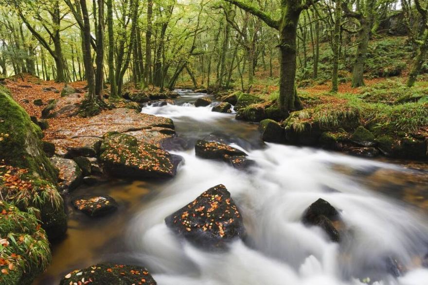 WATERMILL, pet friendly, country holiday cottage in St Breward