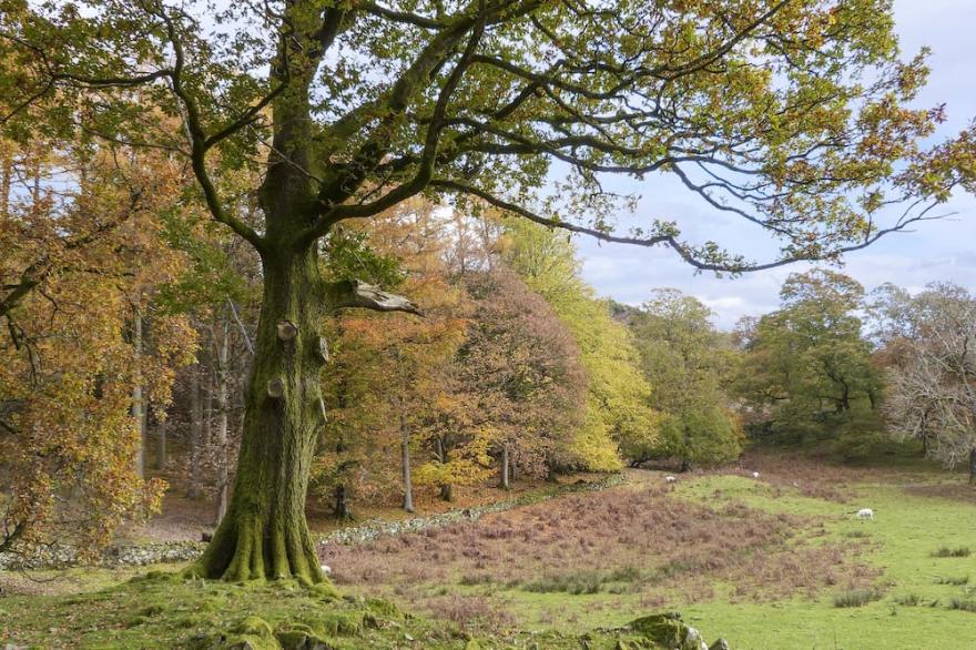 HAZEL - WOODLAND COTTAGES, family friendly in Bowness-On-Windermere