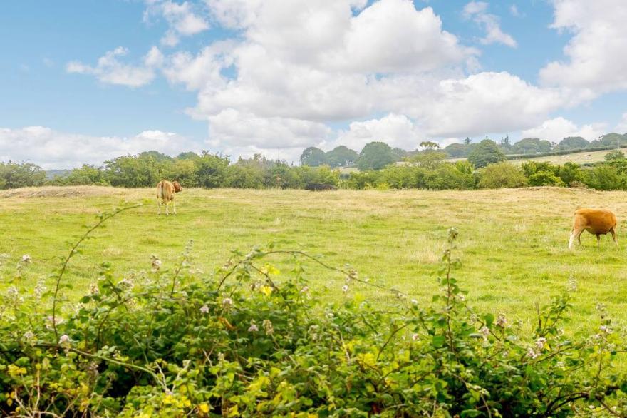 3 BLACK HORSE COTTAGES, pet friendly, with a garden in Pentraeth