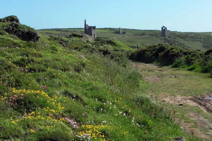 Crown Mine Cottage - Two Bedroom House, Sleeps 3