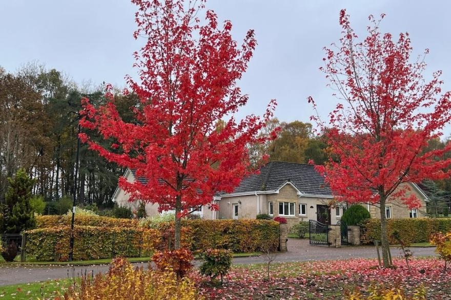 'The Willows' A Charming home on Dollarbeg Castle Estate