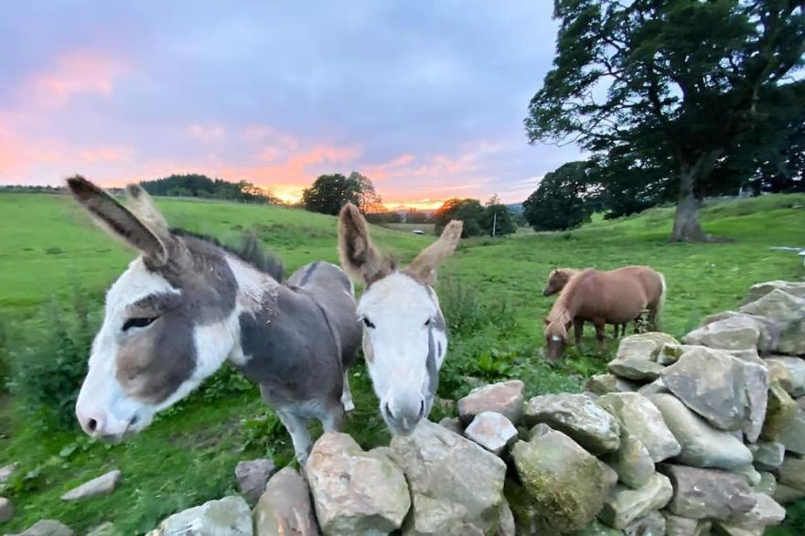 2 bedroom accommodation in Gilsland, near Brampton