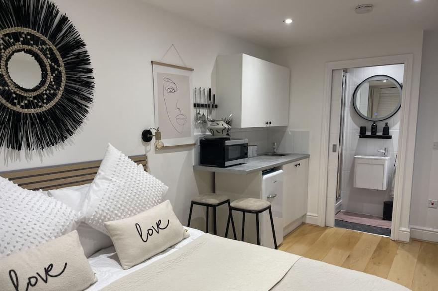 Stylish modern one bedroom with kitchenette and en suite shower room