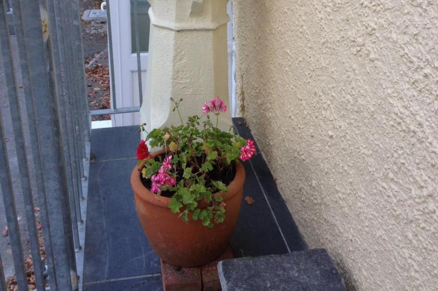 Homely Cottage with Valley Views, Dog Friendly, Parking, Garden and Wifi