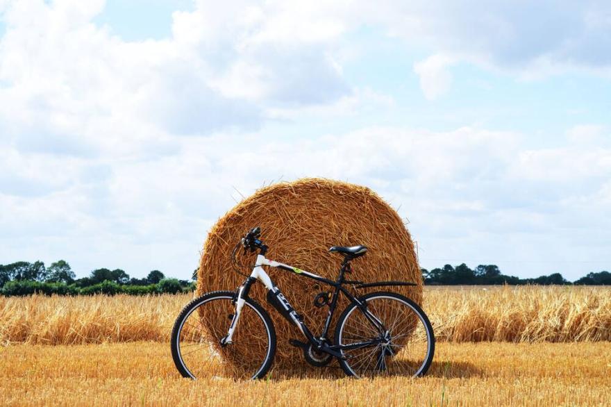 Hall Barn is a 5* family and dog-friendly holiday cottage in rural North Norfolk