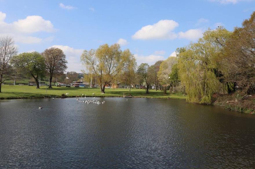 THE DOVECOTE, pet friendly, character holiday cottage in Llanrhaeadr