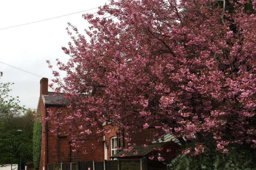 Quiet retreat 20 minutes from the city, 10 minutes from the motorway,