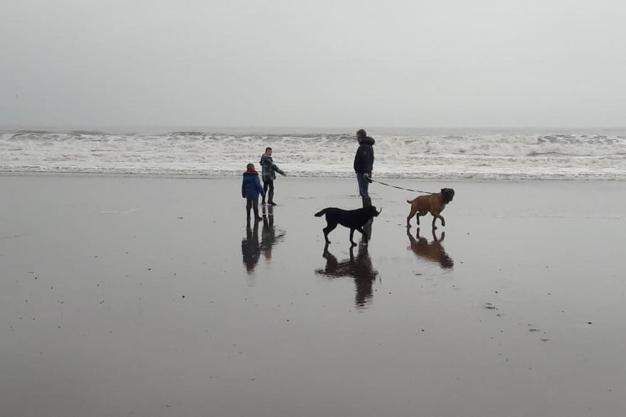 Cottage in the  centre of Whitby - beautiful coastal and Abbey views