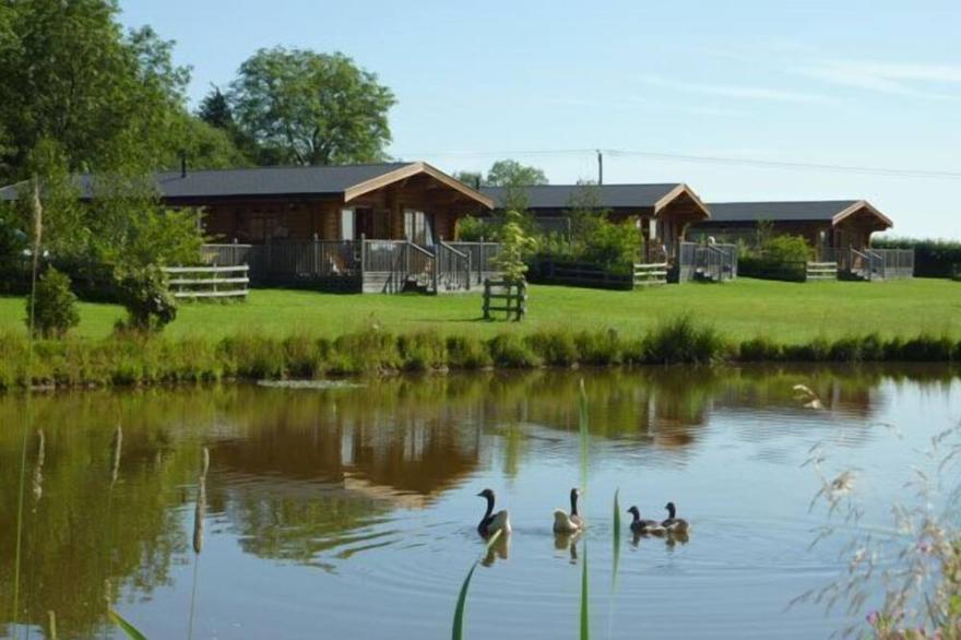 BLUEBELL 4* Lodge ..