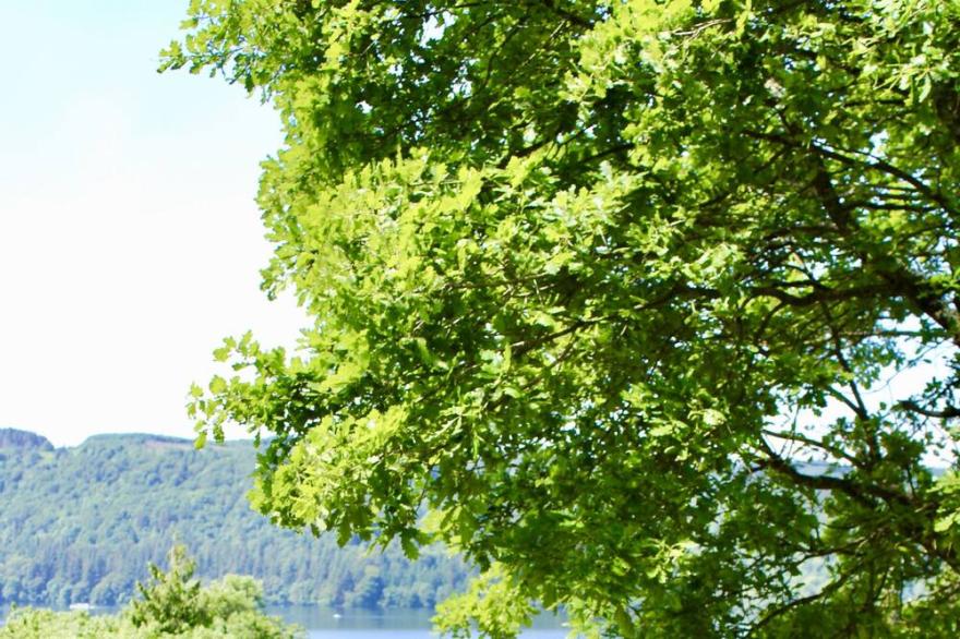 Luxury Victorian Gothic Manor with Gorgeous Views of Lake Windermere