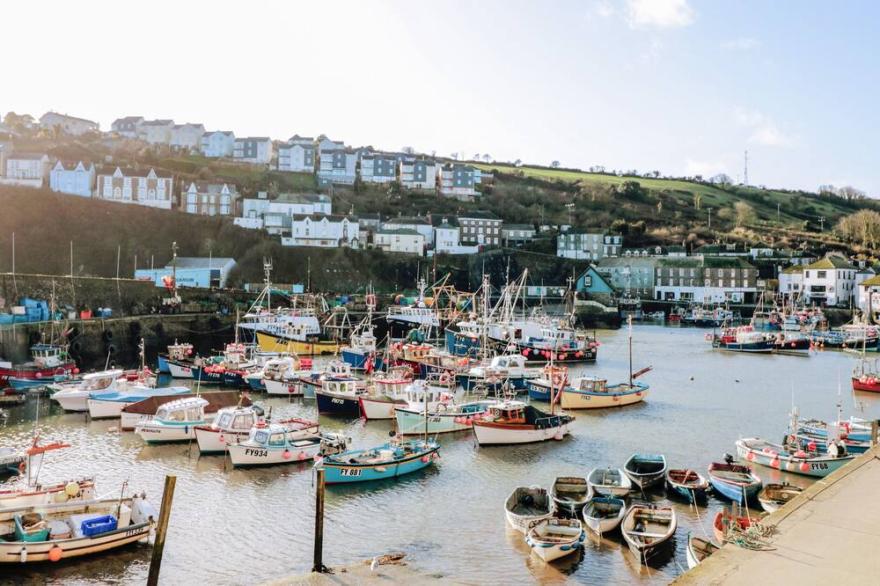 COBBLESTONES, pet friendly, country holiday cottage in Mevagissey