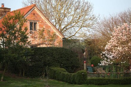 Medieval Cottage