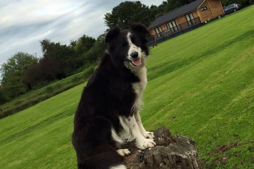 Grange Farm Park - CHESTNUT COTTAGE - Sleeps 6 Dog friendly