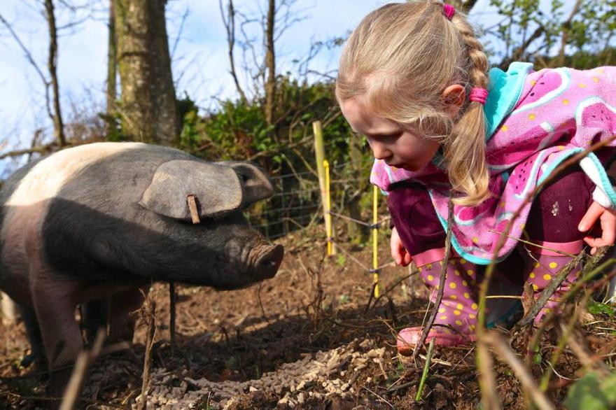Self Catering Rural Farm Cottage + Heated Pool Cornwall | Godrevy Barn