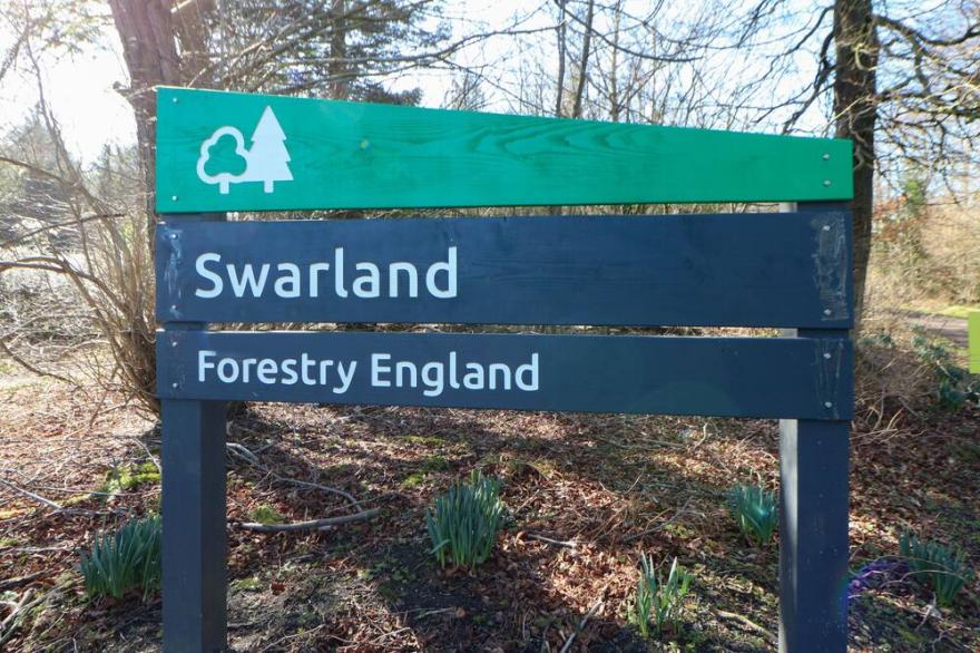 PERCY WOOD COUNTRY PARK, pet friendly, with hot tub in Felton