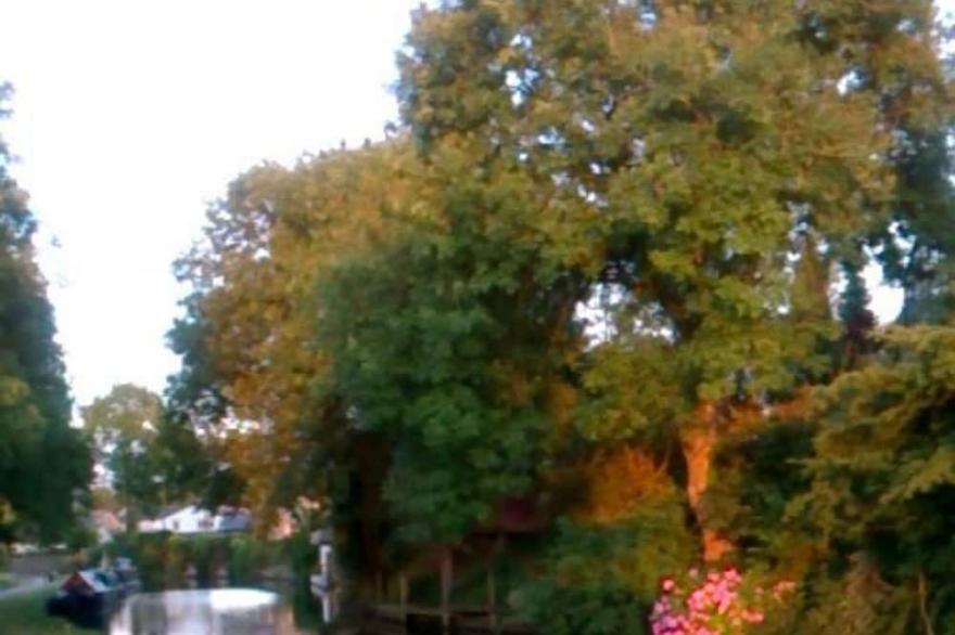 Cruising or Static Holiday Breaks aboard Lovely Canal Boat in Historic Skipton