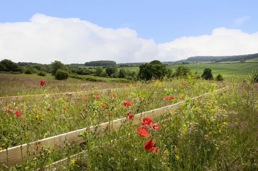 Mulberry Cottage, Thirley Cotes Farm Cottages